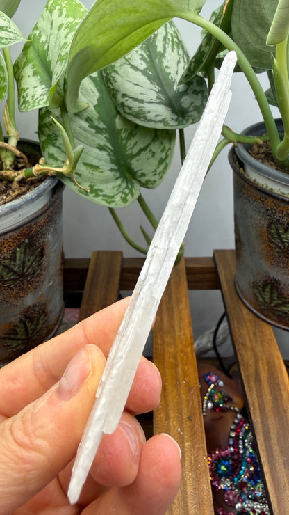 Natural Raw Selenite Plate- 4.2 inches wide- Super clear high quality slab
