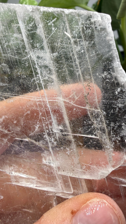 Natural Raw Selenite Plate- 4.2 inches wide- Super clear high quality slab