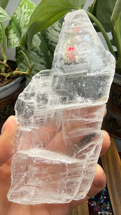 Natural Raw Selenite Plate- 5.6 inches wide- Super clear high quality slab