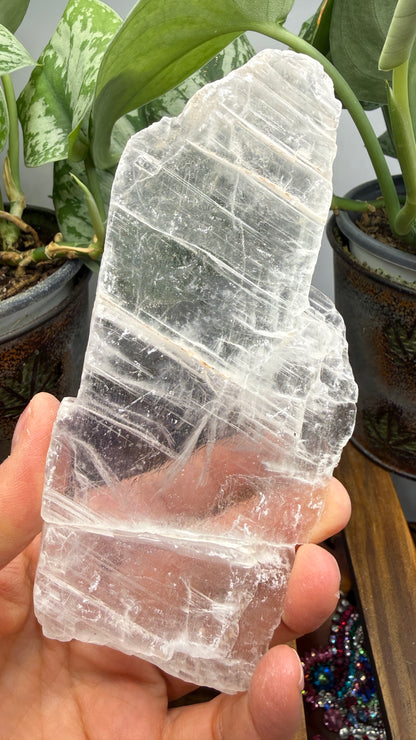 Natural Raw Selenite Plate- 5.6 inches wide- Super clear high quality slab