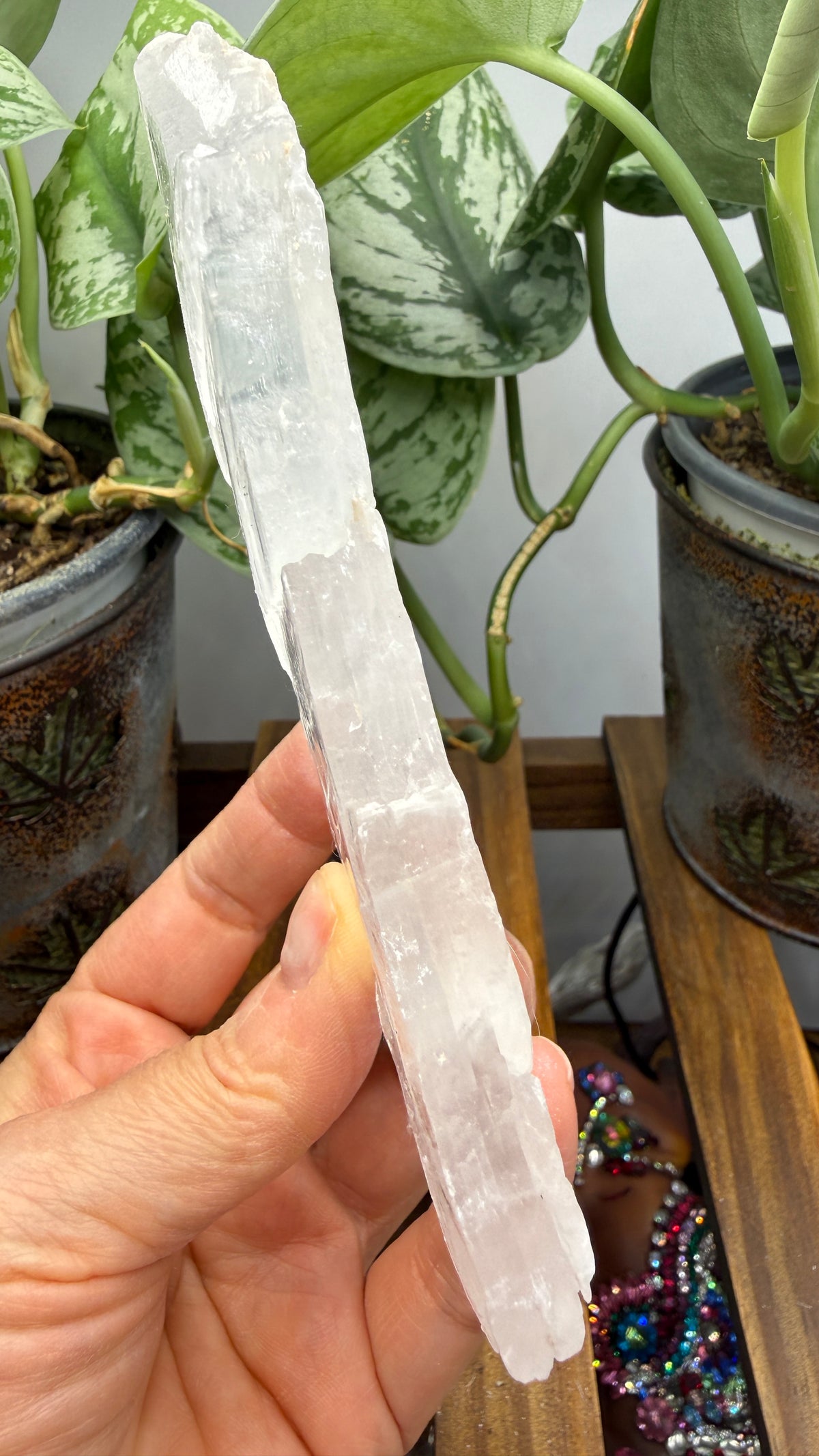 Natural Raw Selenite Plate- 5.6 inches wide- Super clear high quality slab