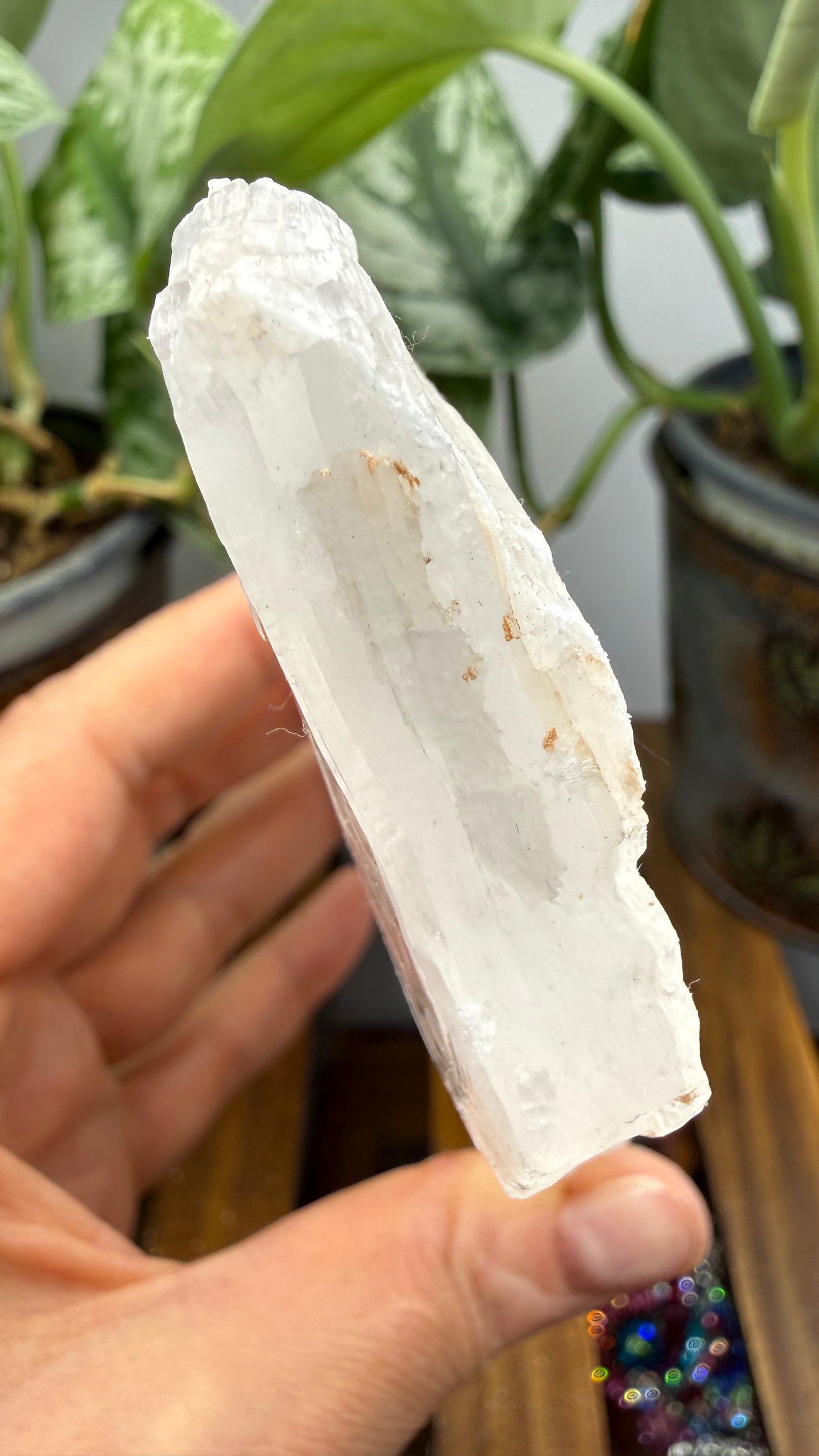 Natural Raw Selenite Plate- 5.6 inches wide- Super clear high quality slab