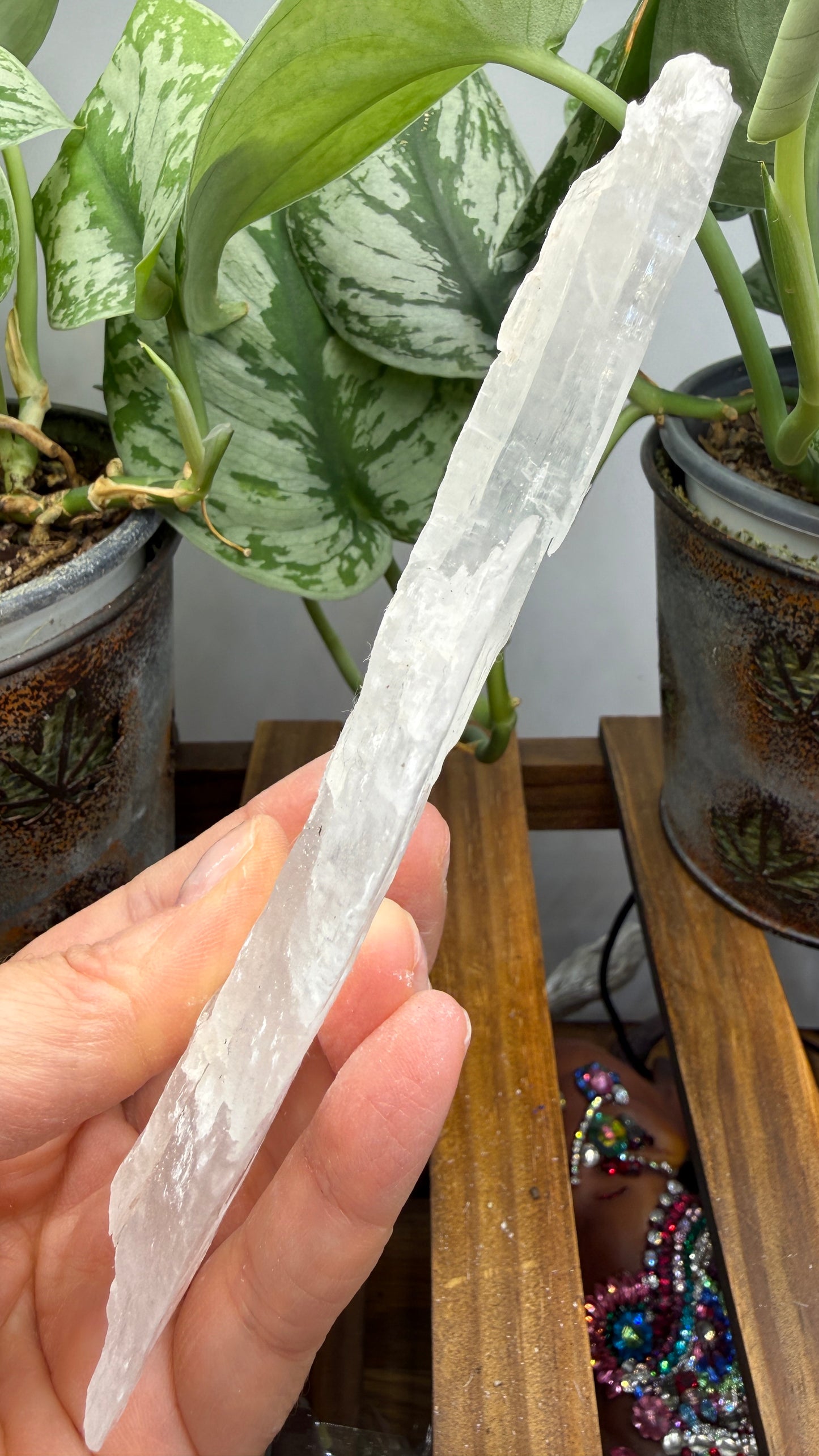 Natural Raw Selenite Plate- 5.6 inches wide- Super clear high quality slab