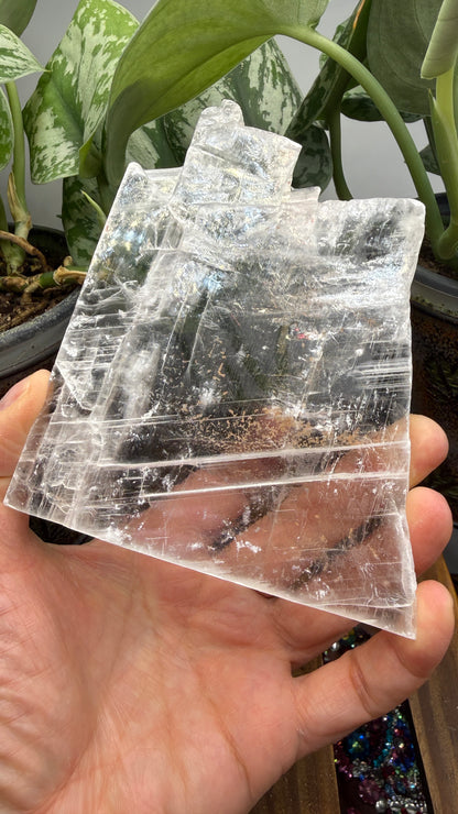 Natural Raw Selenite Plate- 4.5 inches wide- Super clear high quality slab