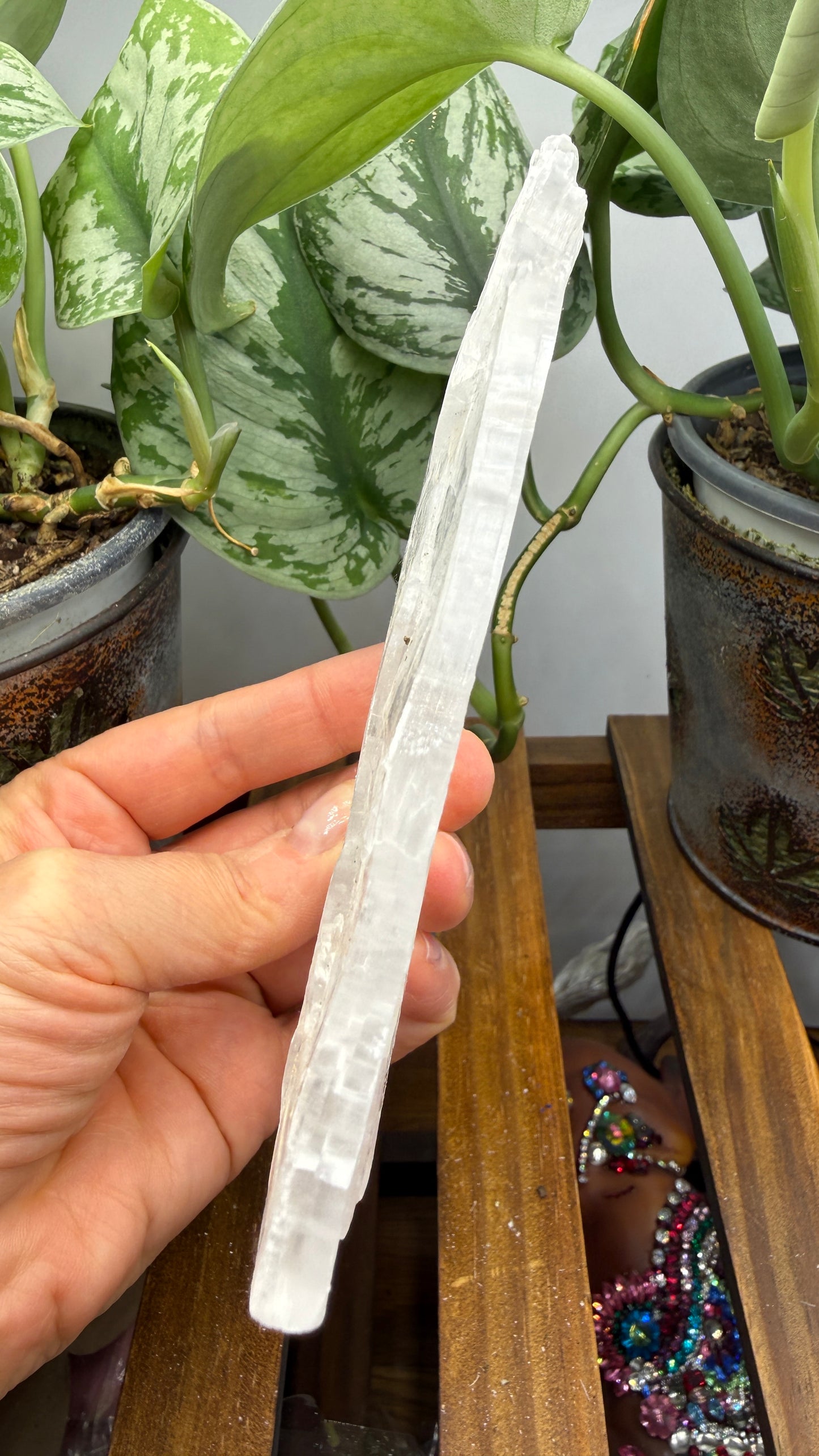 Natural Raw Selenite Plate- 4.5 inches wide- Super clear high quality slab