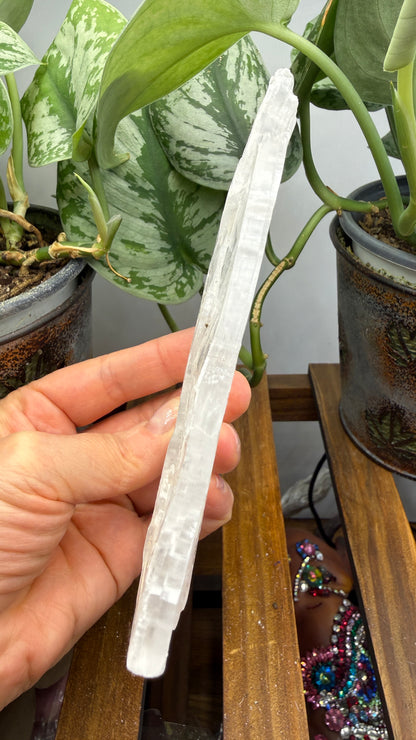 Natural Raw Selenite Plate- 4.5 inches wide- Super clear high quality slab