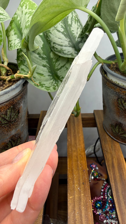 Natural Raw Selenite Plate- 4.5 inches wide- Super clear high quality slab