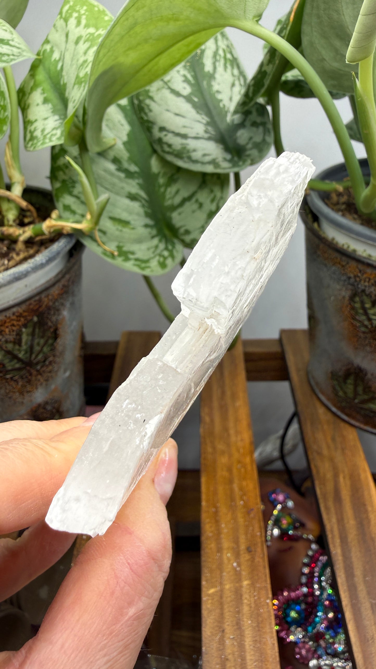 Natural Raw Selenite Plate- 4.5 inches wide- Super clear high quality slab