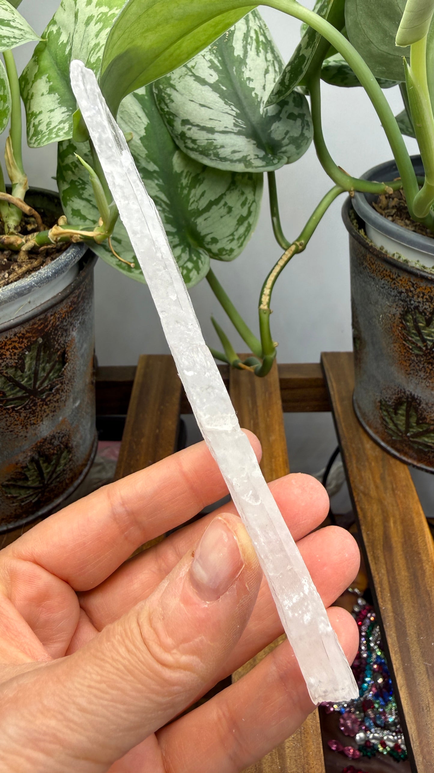 Natural Raw Selenite Plate- 4.0 inches wide- Super clear high quality slab