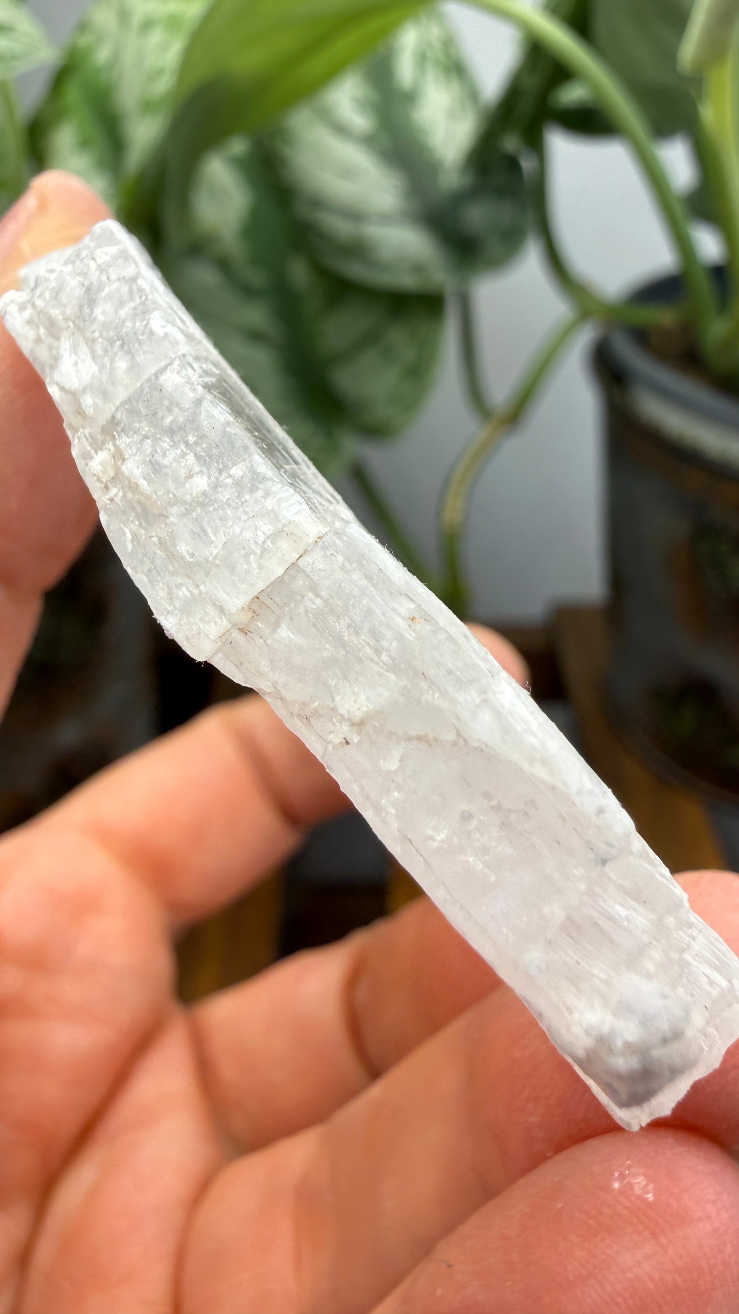 Natural Raw Selenite Plate- 4.0 inches wide- Super clear high quality slab