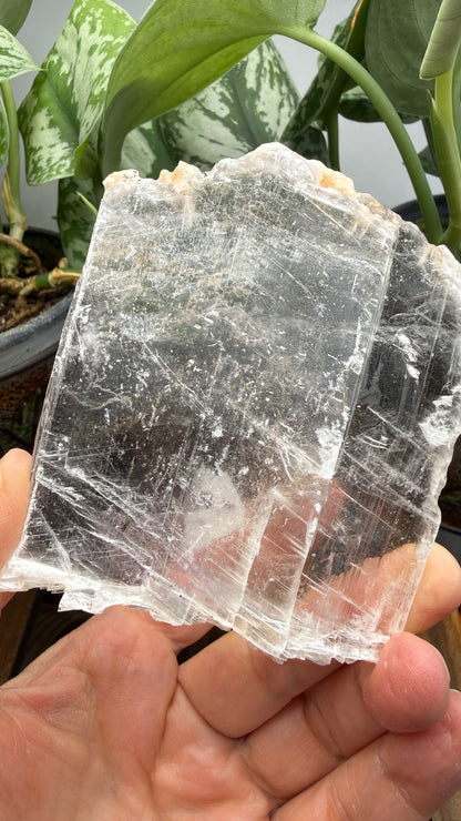 Natural Raw Selenite Plate- 3.3 inches wide- Super clear high quality slab