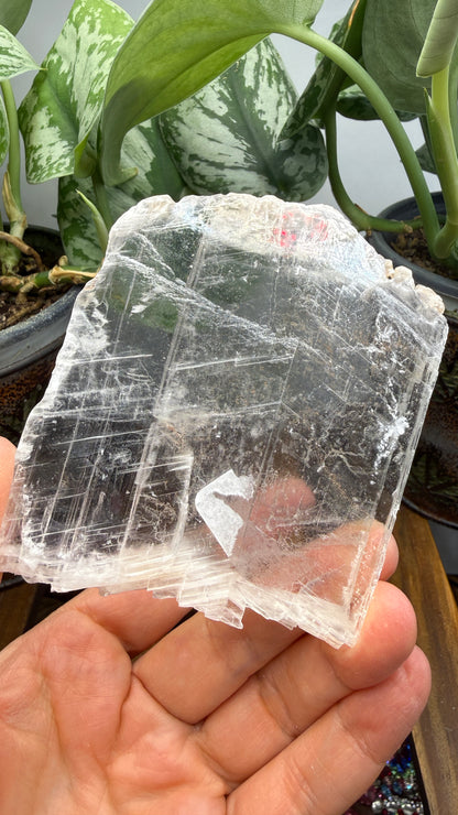 Natural Raw Selenite Plate- 3.3 inches wide- Super clear high quality slab