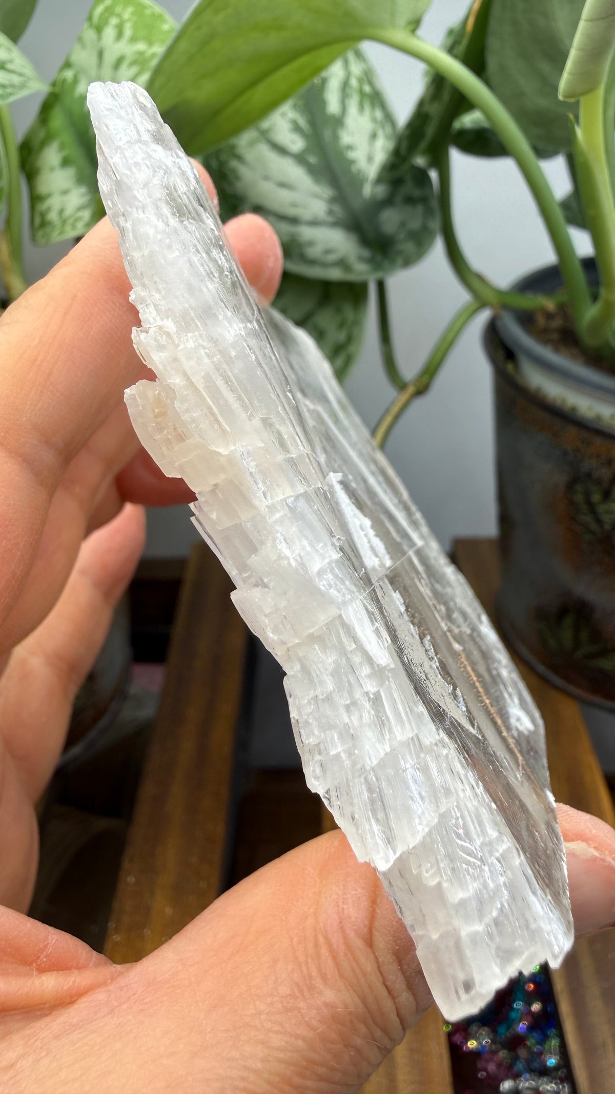 Natural Raw Selenite Plate- 3.3 inches wide- Super clear high quality slab