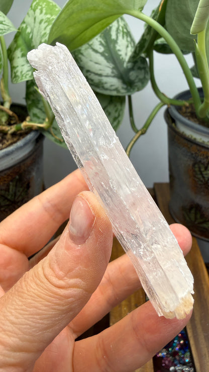 Natural Raw Selenite Plate- 3.3 inches wide- Super clear high quality slab