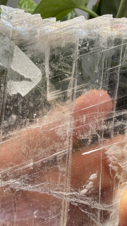 Natural Raw Selenite Plate- 3.3 inches wide- Super clear high quality slab