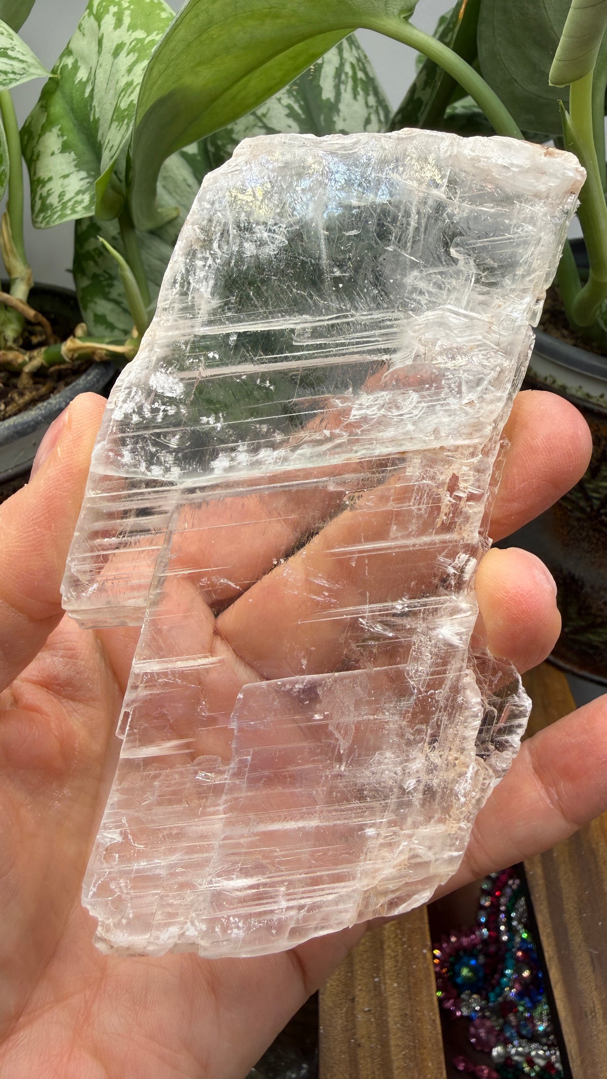 Natural Raw Selenite Plate- 4.3 inches wide- Super clear high quality slab