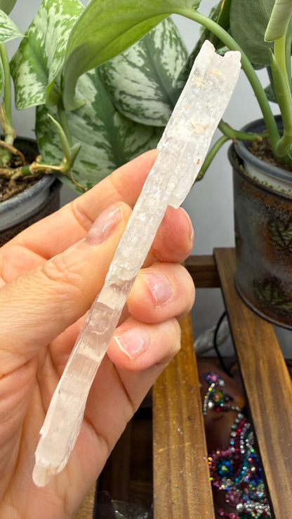 Natural Raw Selenite Plate- 4.3 inches wide- Super clear high quality slab