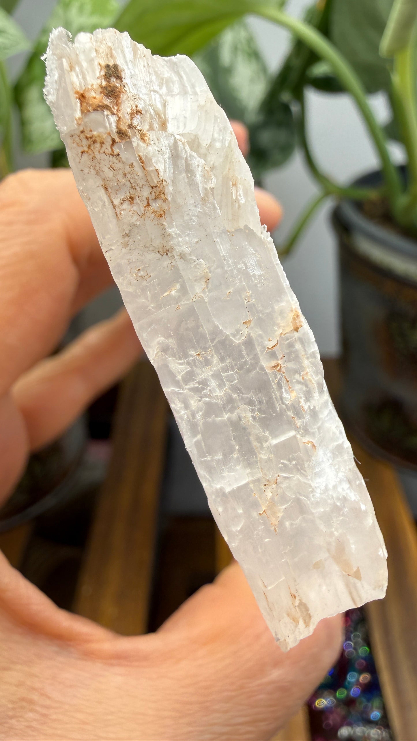 Natural Raw Selenite Plate- 4.3 inches wide- Super clear high quality slab
