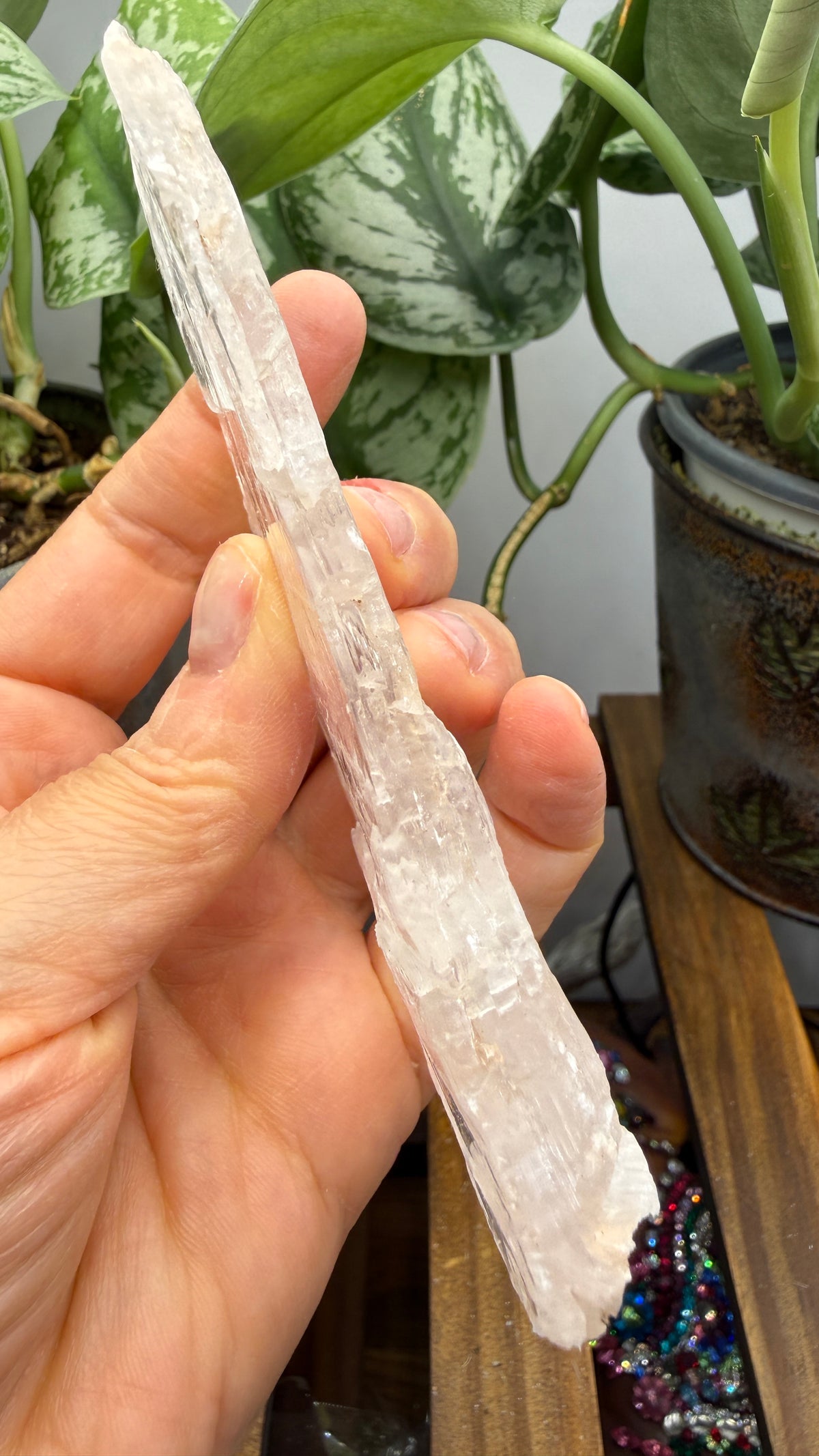 Natural Raw Selenite Plate- 4.3 inches wide- Super clear high quality slab
