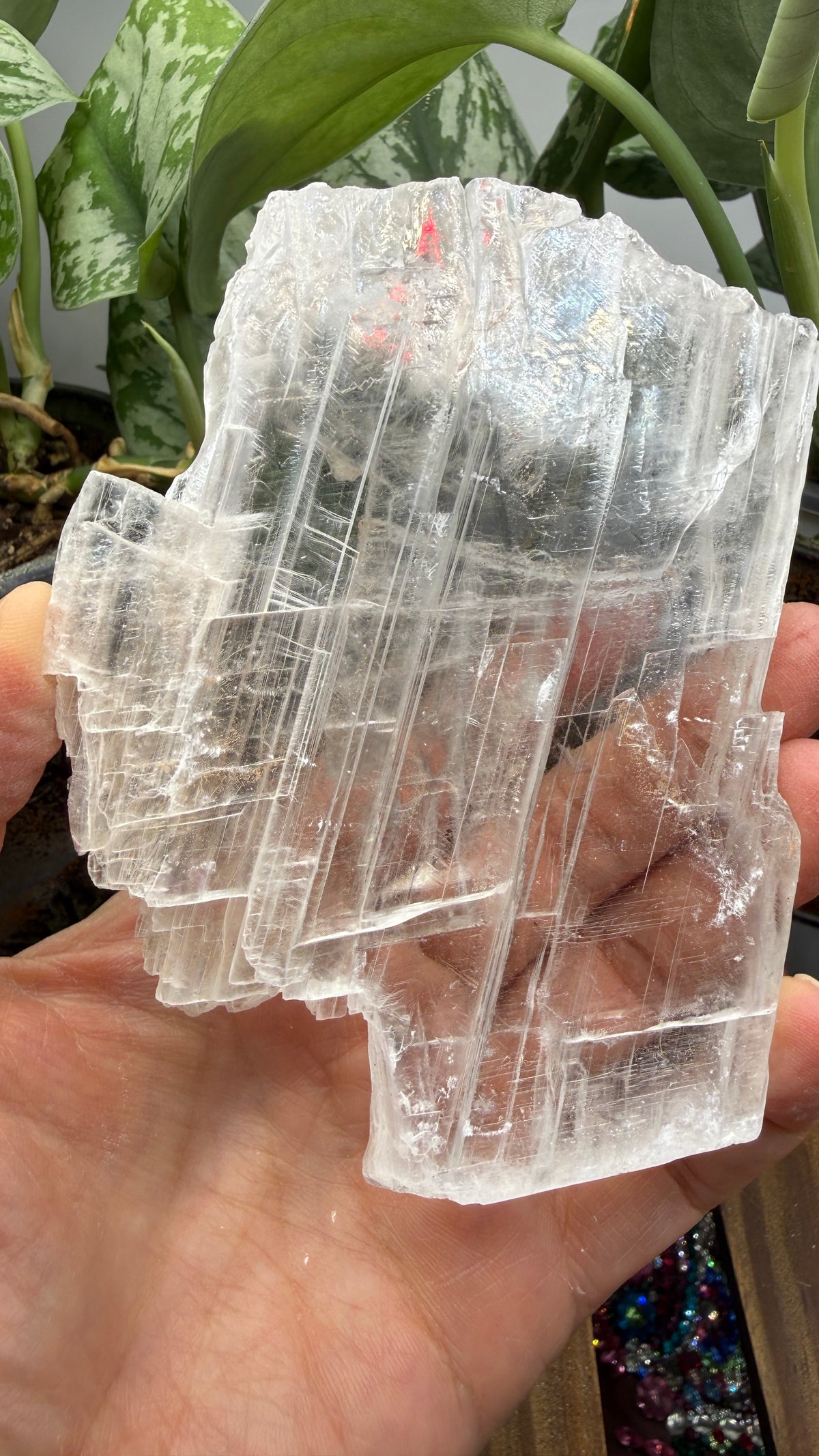 Natural Raw Selenite Plate- 4.3 inches wide- Super clear high quality slab