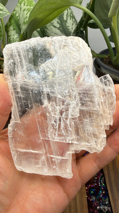 Natural Raw Selenite Plate- 4.3 inches wide- Super clear high quality slab