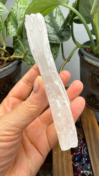 Natural Raw Selenite Plate- 4.3 inches wide- Super clear high quality slab