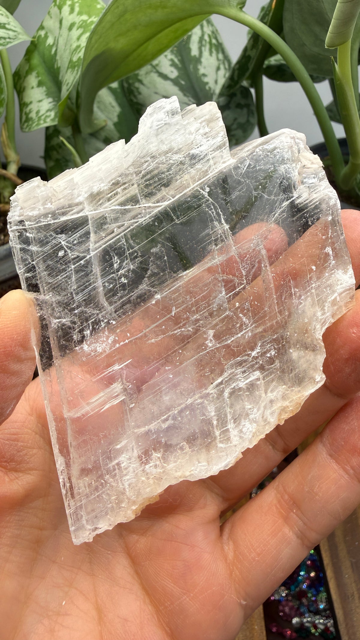 Natural Raw Selenite Plate- 2.8 inches wide- Super clear high quality slab