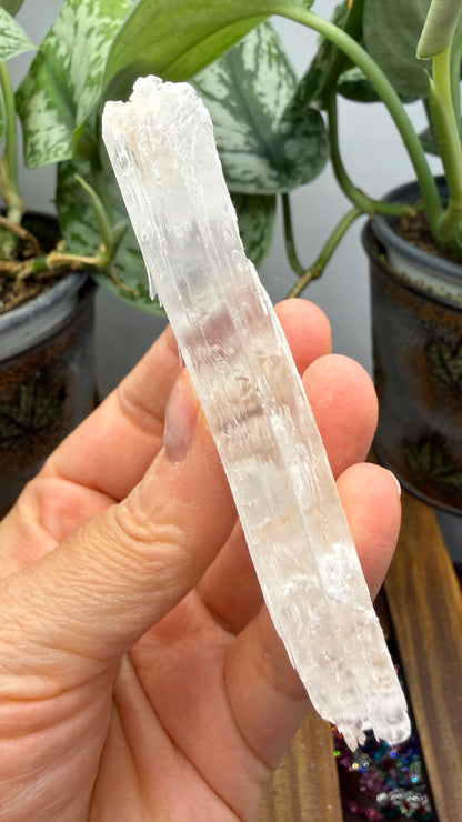 Natural Raw Selenite Plate- 2.8 inches wide- Super clear high quality slab