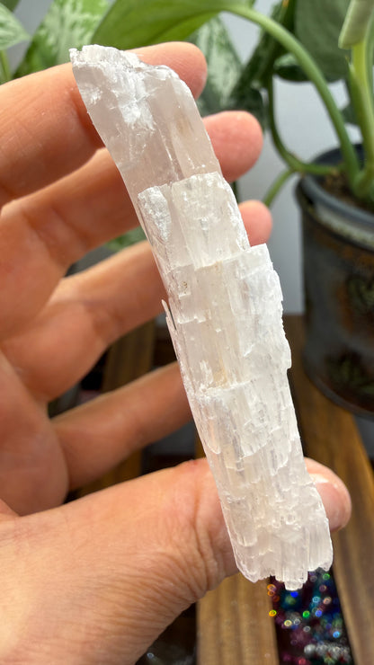 Natural Raw Selenite Plate- 2.8 inches wide- Super clear high quality slab