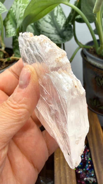 Natural Raw Selenite Plate- 2.8 inches wide- Super clear high quality slab