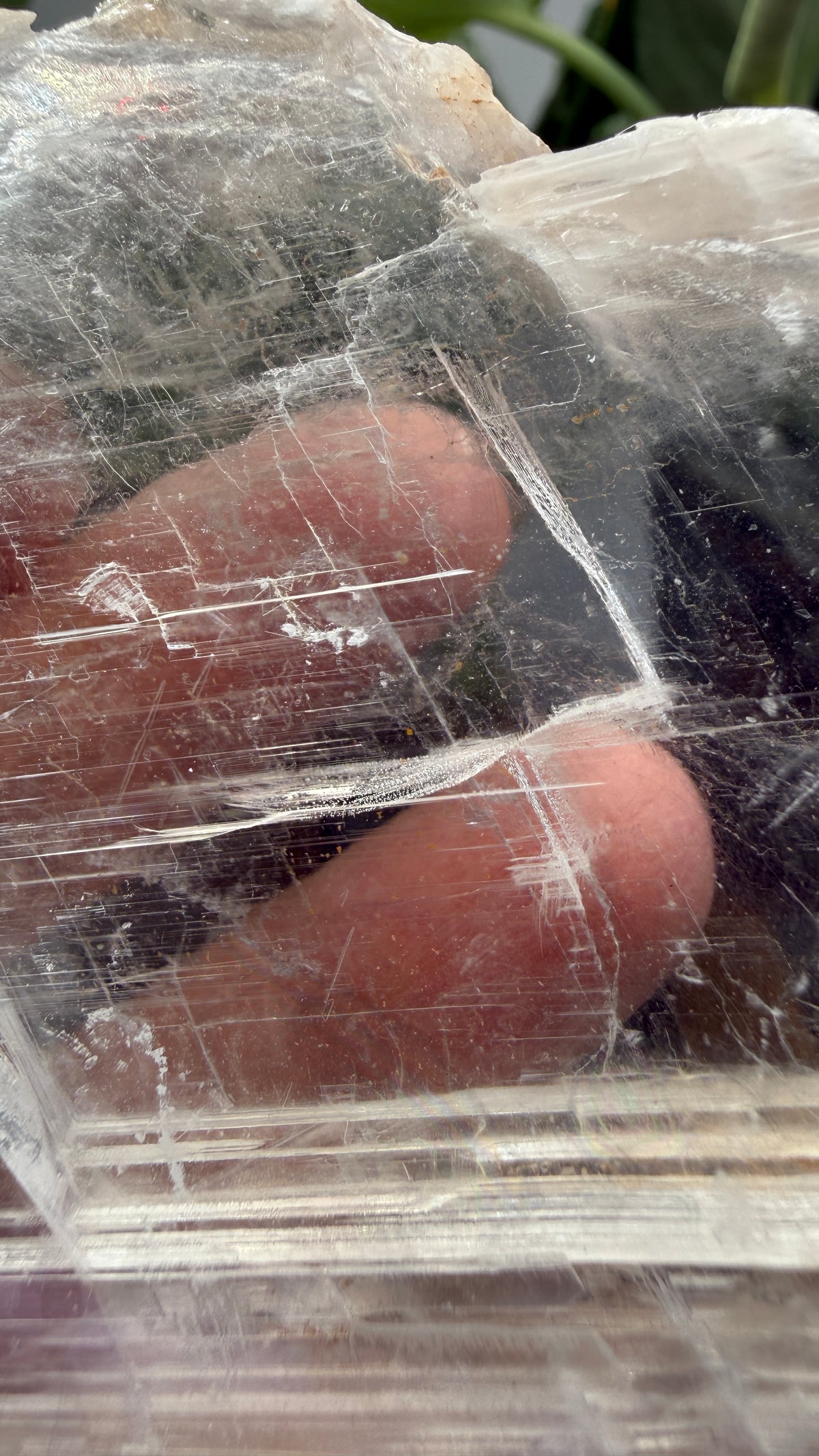 Natural Raw Selenite Plate- 2.8 inches wide- Super clear high quality slab