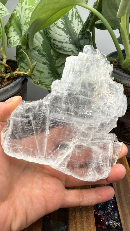 Natural Raw Selenite Plate- 5.1 inches wide- Super clear high quality slab