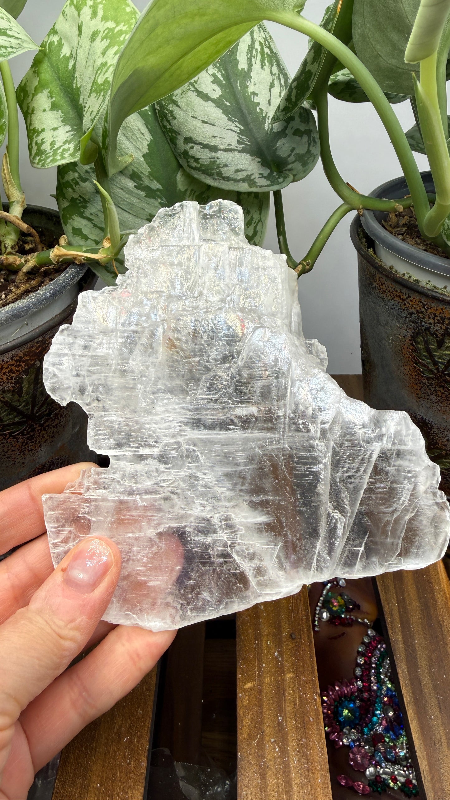 Natural Raw Selenite Plate- 5.1 inches wide- Super clear high quality slab