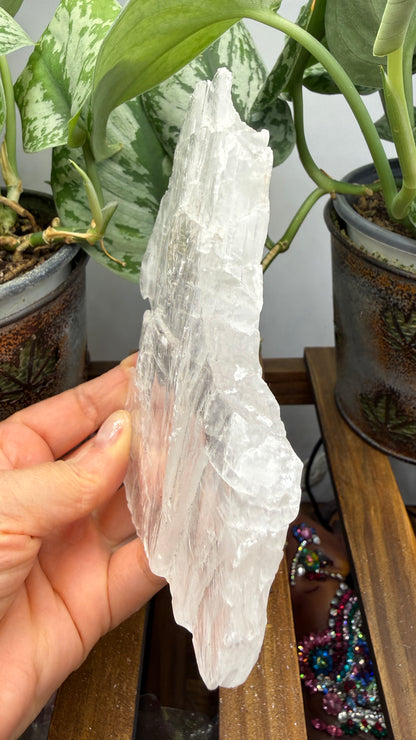 Natural Raw Selenite Plate- 5.1 inches wide- Super clear high quality slab