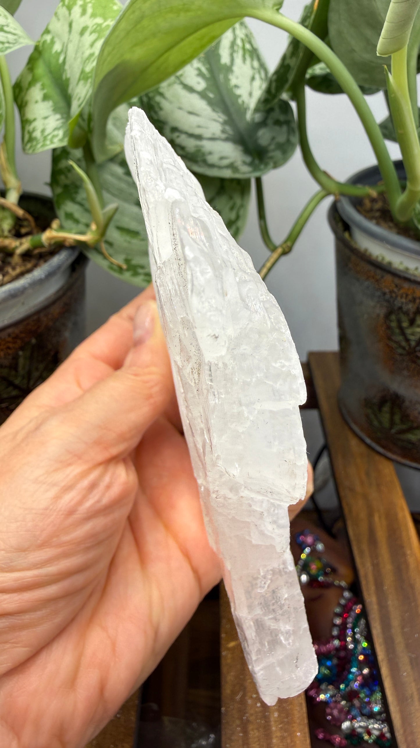 Natural Raw Selenite Plate- 5.1 inches wide- Super clear high quality slab