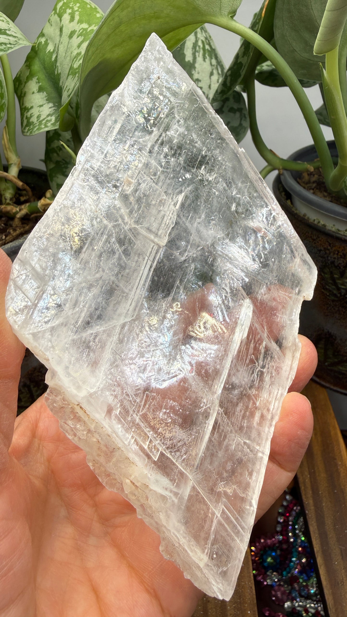 Natural Raw Selenite Plate- 3.9 inches wide- Super clear high quality slab