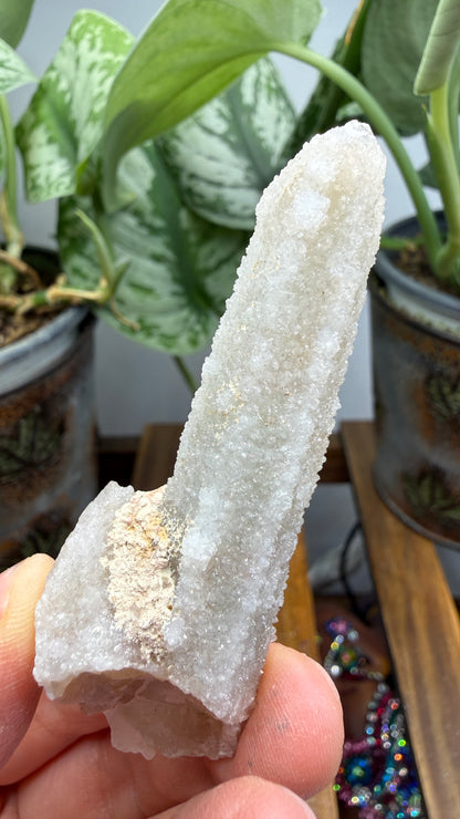 Witch’s Finger Druzy Quartz (White Cactus Quartz)- Boekenhouthoek, South Africa