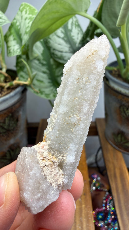 Witch’s Finger Druzy Quartz (White Cactus Quartz)- Boekenhouthoek, South Africa