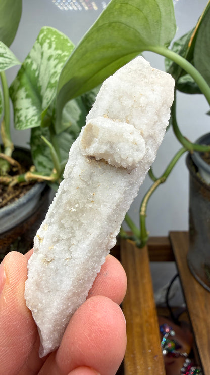 Witch’s Finger Druzy Quartz (White Cactus Quartz)- Boekenhouthoek, South Africa