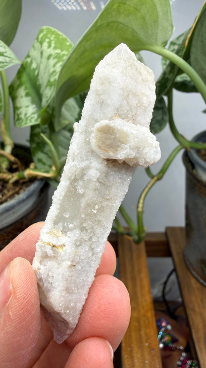 Witch’s Finger Druzy Quartz (White Cactus Quartz)- Boekenhouthoek, South Africa