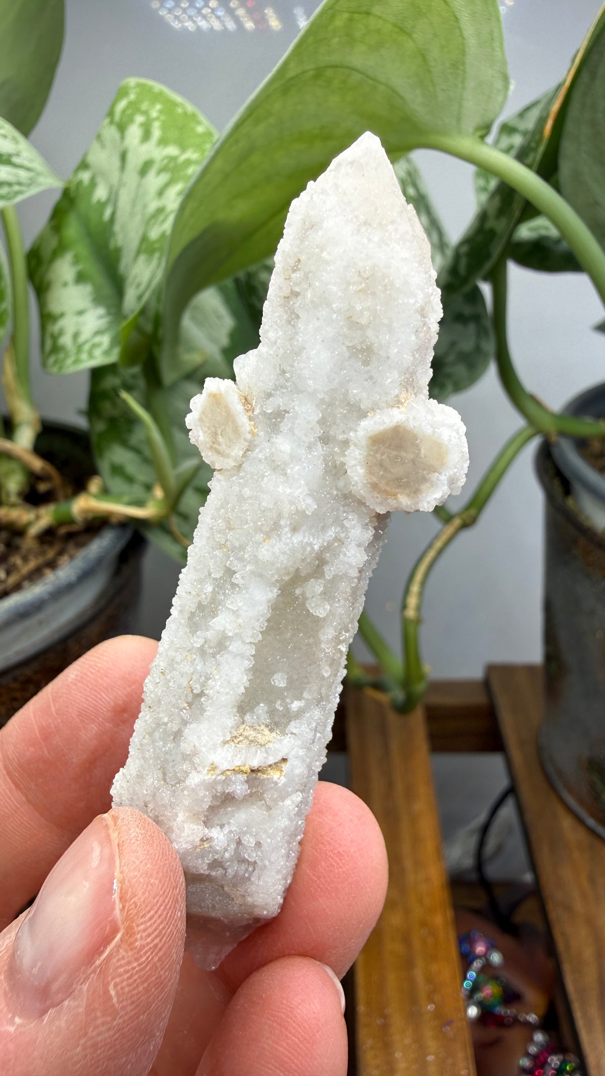 Witch’s Finger Druzy Quartz (White Cactus Quartz)- Boekenhouthoek, South Africa