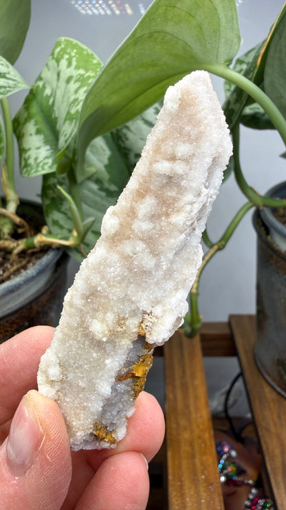 Witch’s Finger Druzy Quartz (White Cactus Quartz)- Boekenhouthoek, South Africa