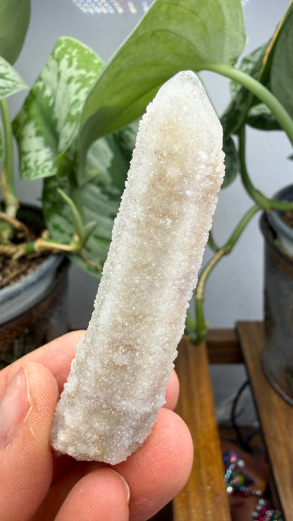 Witch’s Finger Druzy Quartz (White Cactus Quartz)- Boekenhouthoek, South Africa