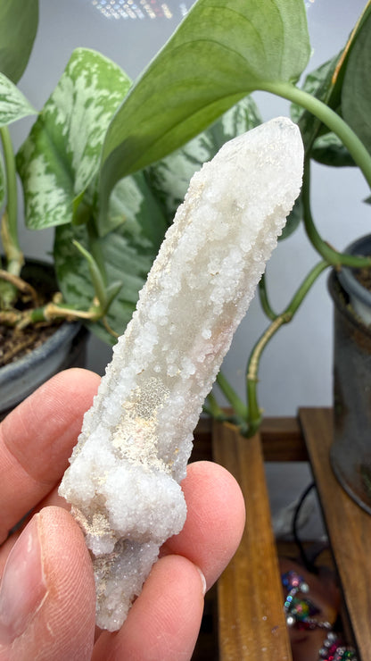 Witch’s Finger Druzy Quartz (White Cactus Quartz)- Boekenhouthoek, South Africa