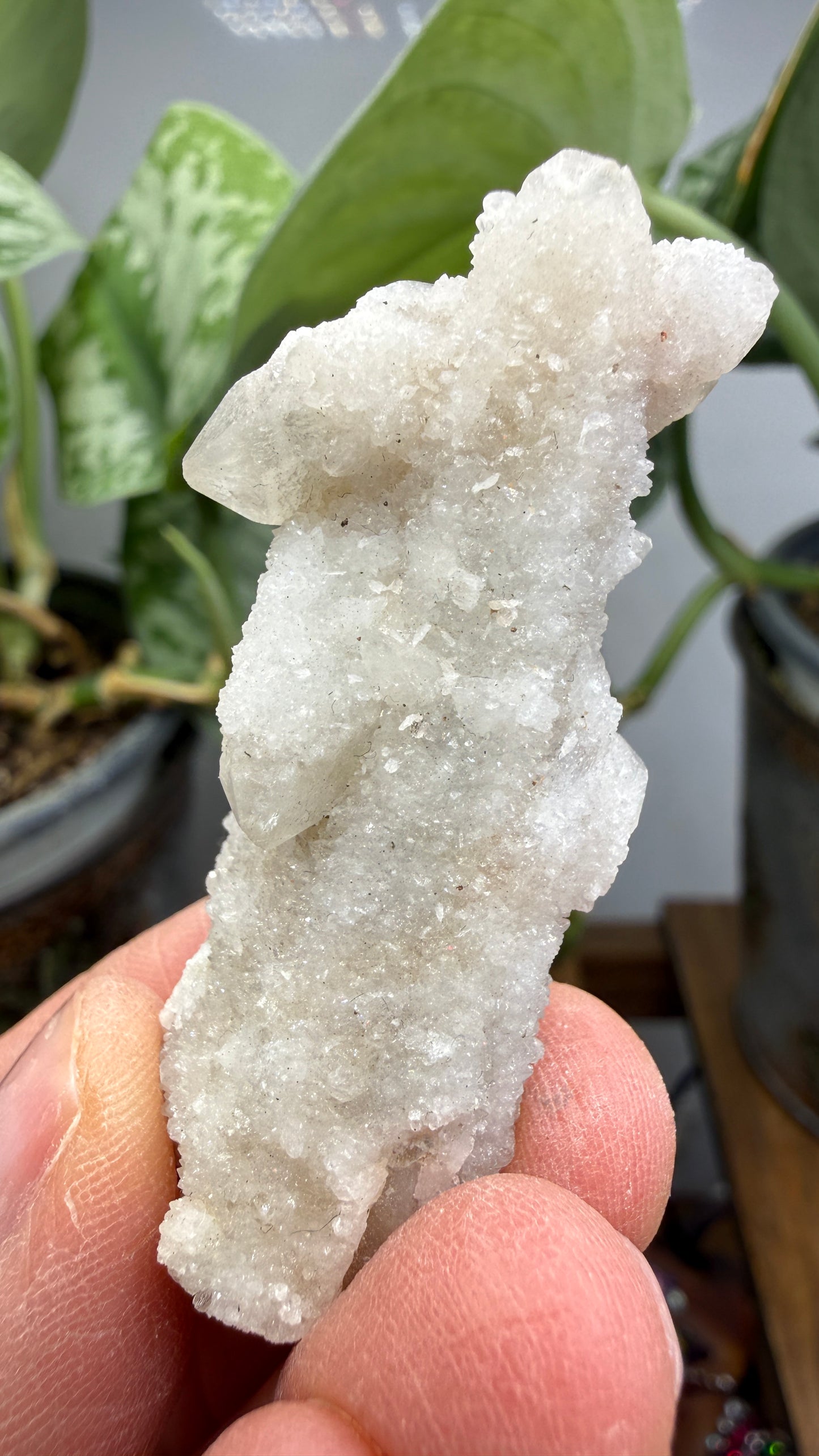 Witch’s Finger Druzy Quartz (White Cactus Quartz)- Boekenhouthoek, South Africa