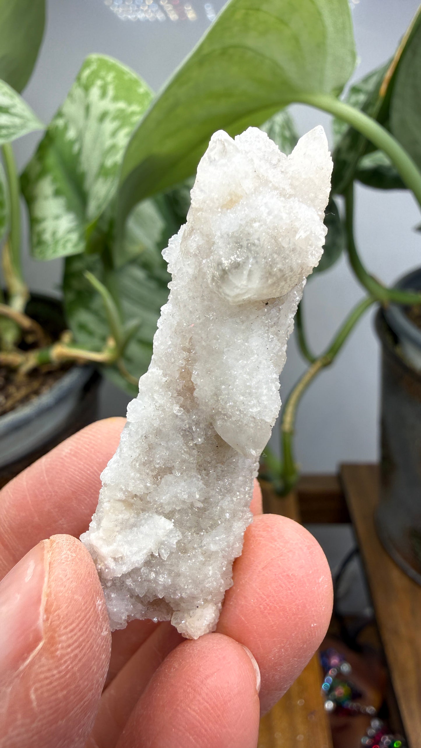 Witch’s Finger Druzy Quartz (White Cactus Quartz)- Boekenhouthoek, South Africa