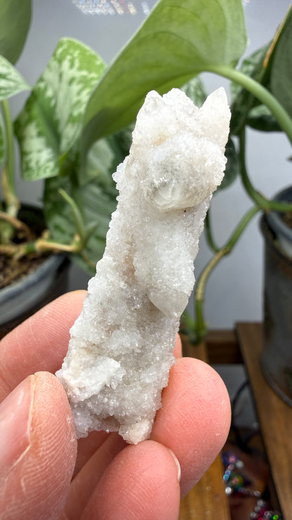 Witch’s Finger Druzy Quartz (White Cactus Quartz)- Boekenhouthoek, South Africa