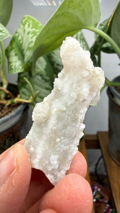 Witch’s Finger Druzy Quartz (White Cactus Quartz)- Boekenhouthoek, South Africa