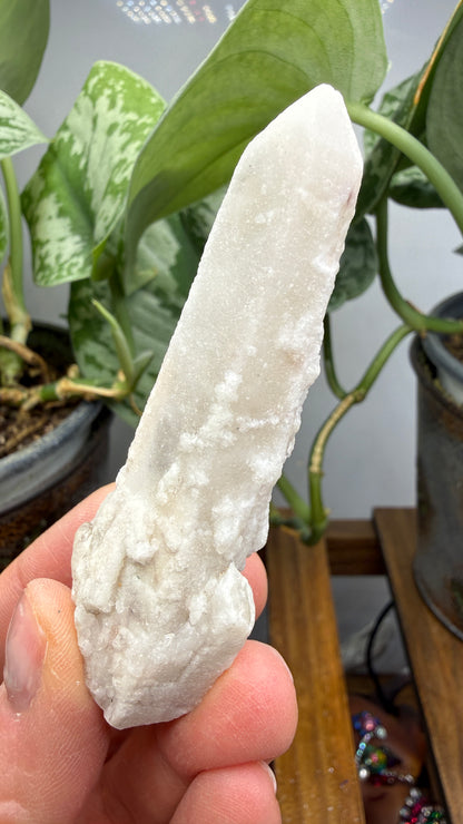 Witch’s Finger Druzy Quartz (White Cactus Quartz)- Boekenhouthoek, South Africa