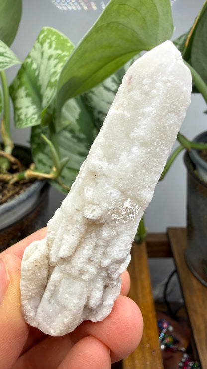 Witch’s Finger Druzy Quartz (White Cactus Quartz)- Boekenhouthoek, South Africa